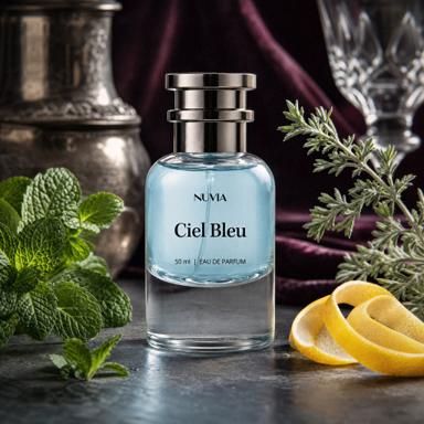 Nuvia Ciel Bleu – zamiennik Chanel Coco Chanel Bleu De Chanel