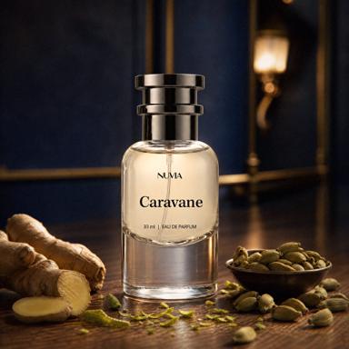 Nuvia Caravane – zamiennik Louis Vuitton Ombre Nomade